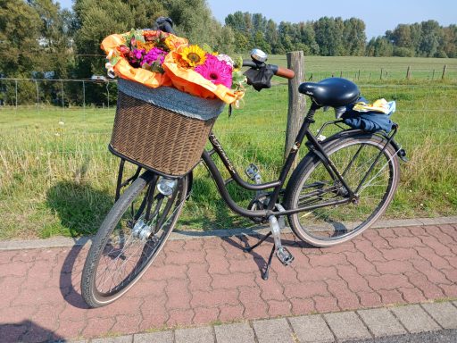 Fahrrad mit Front-Fahrradkorb, der mit Blumensträußen von Petra gefüllt ist.