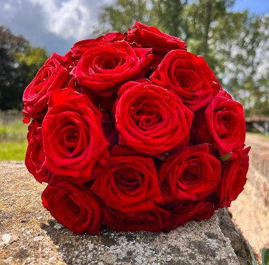 Blumenstrauß aus roten Rosen als Kugel gebunden.